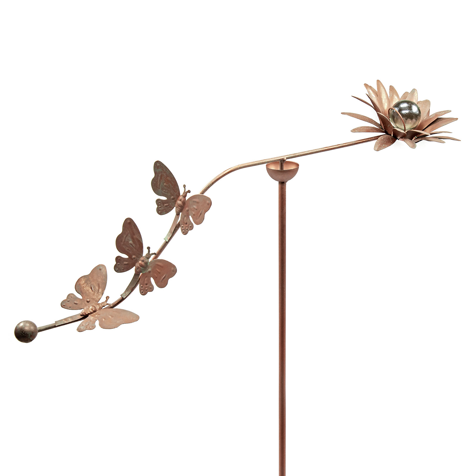 Kupfer-Windschaukel- Schmetterling