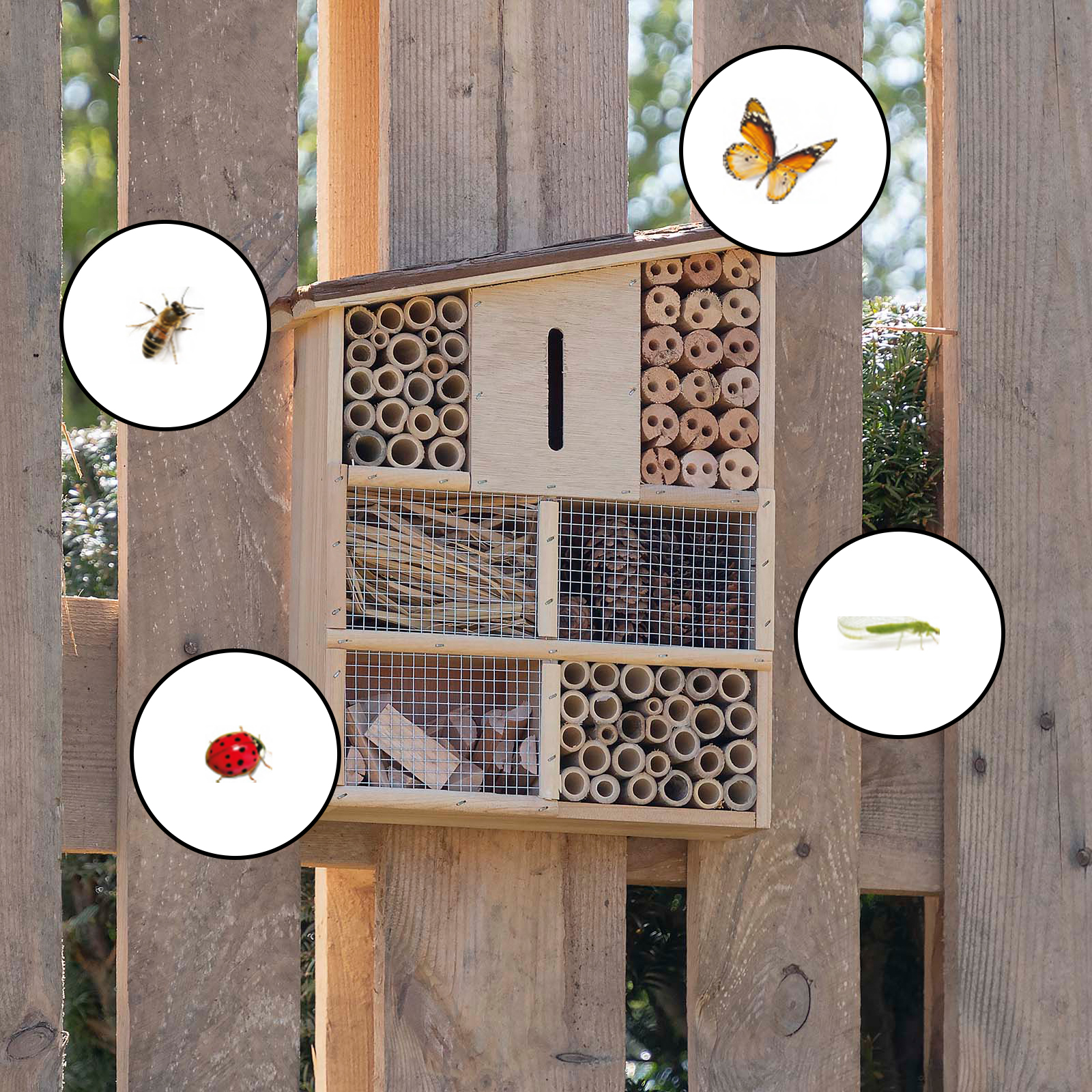 Insektenhotel Müritz